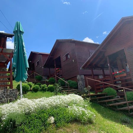 Cristal De Sare Daire Praid Dış mekan fotoğraf